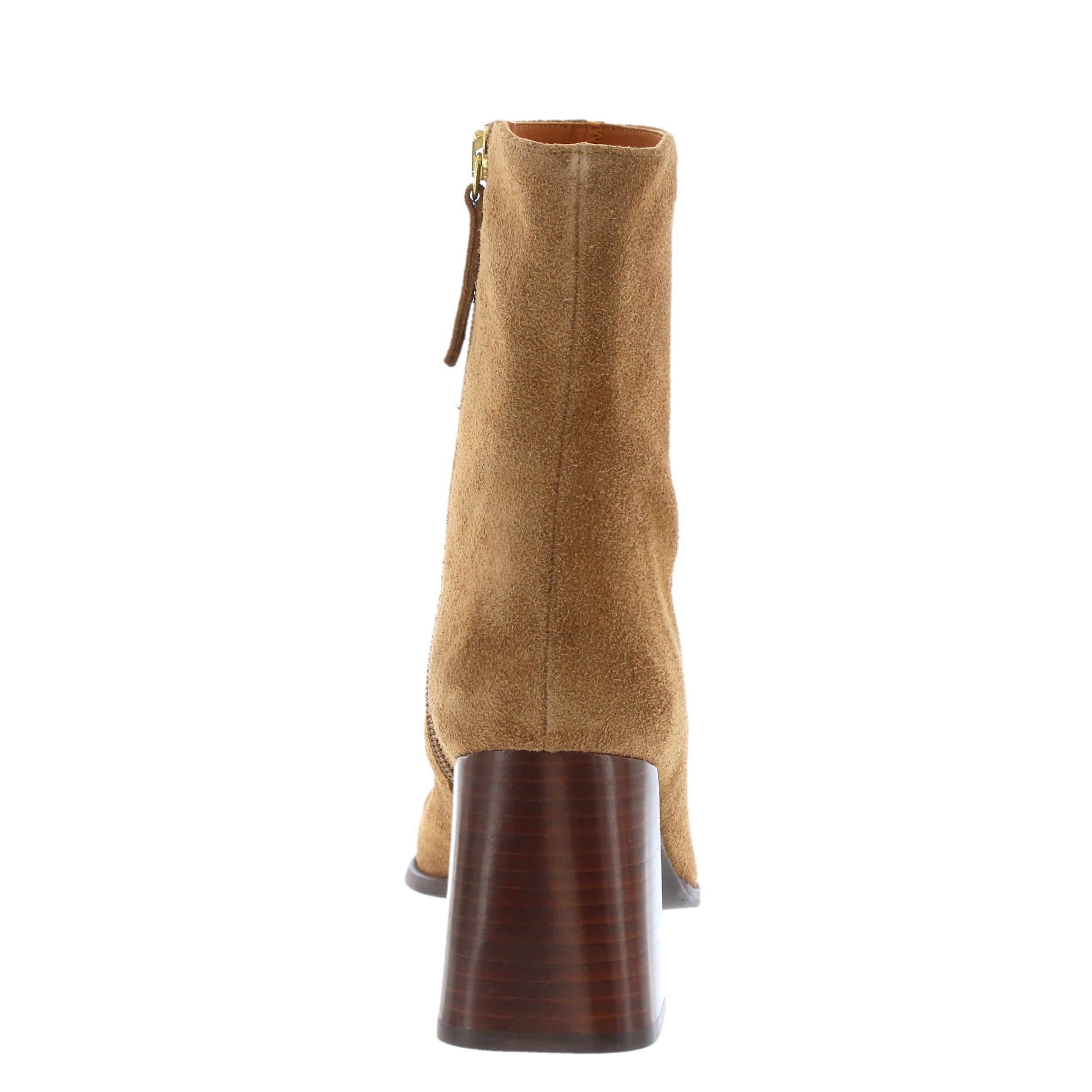 Neo '25572' / Camel