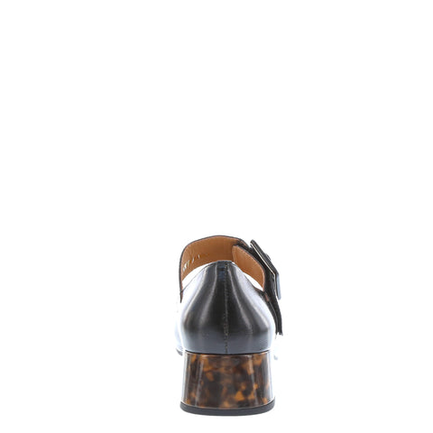 Bresley 'Danper' / Black /Turtle /Black