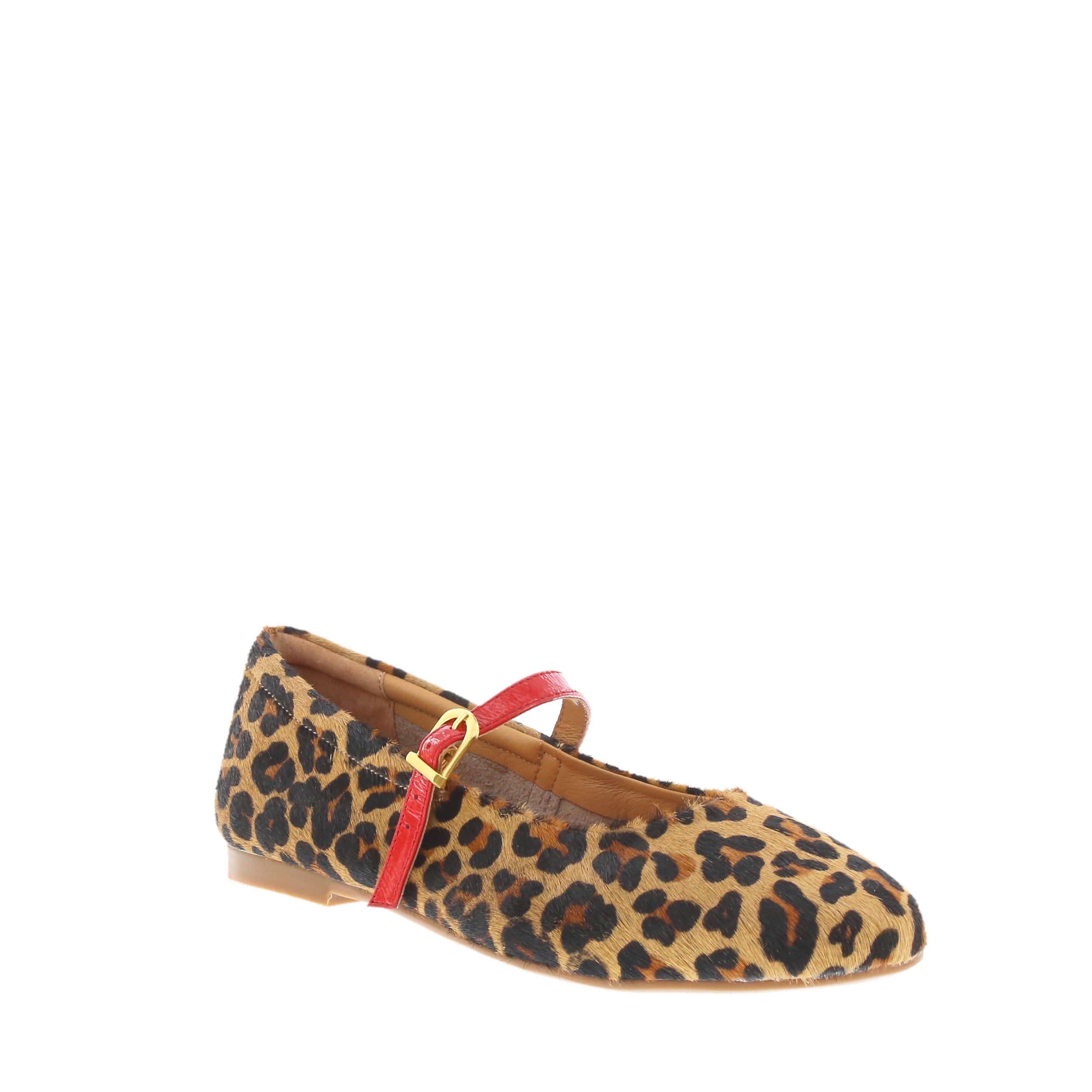 Bresley 'Passy' / Leopard