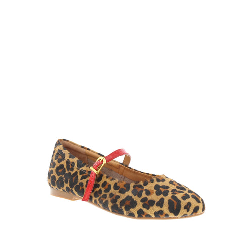 Bresley 'Passy' / Leopard