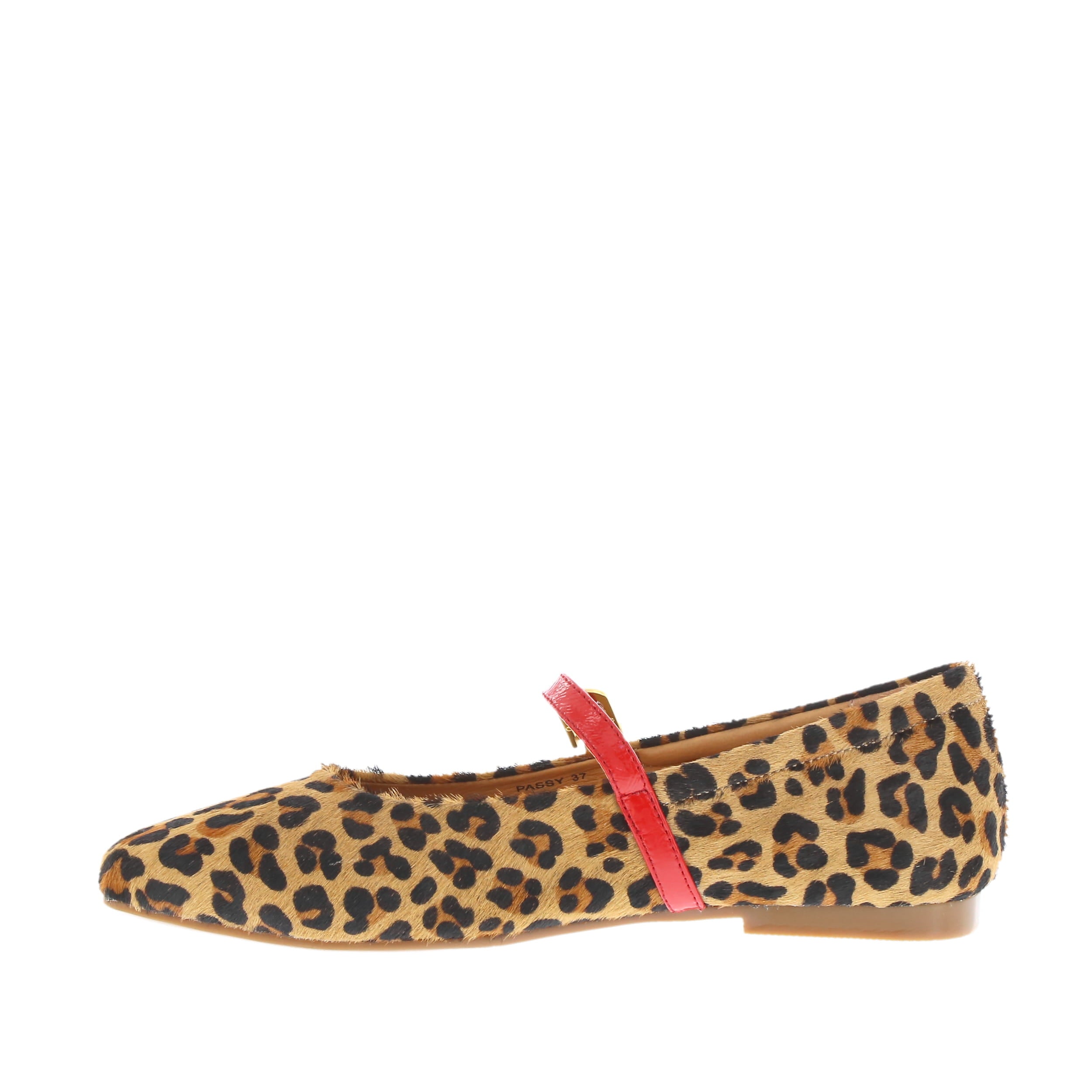 Bresley 'Passy' / Leopard
