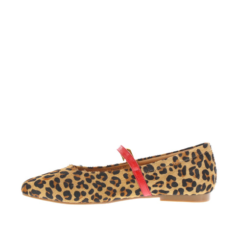Bresley 'Passy' / Leopard