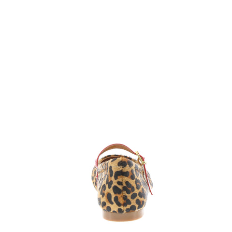 Bresley 'Passy' / Leopard