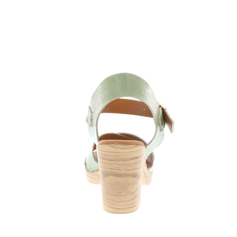 Nu by Neo 'Paloma' / Salvia