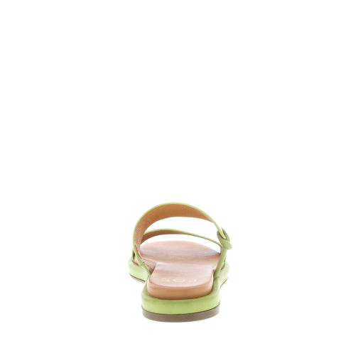 EOS 'Zalie' / Apple