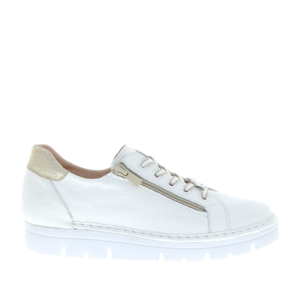 Jose Saenz '2001' / Blanco/Champan/Blanco