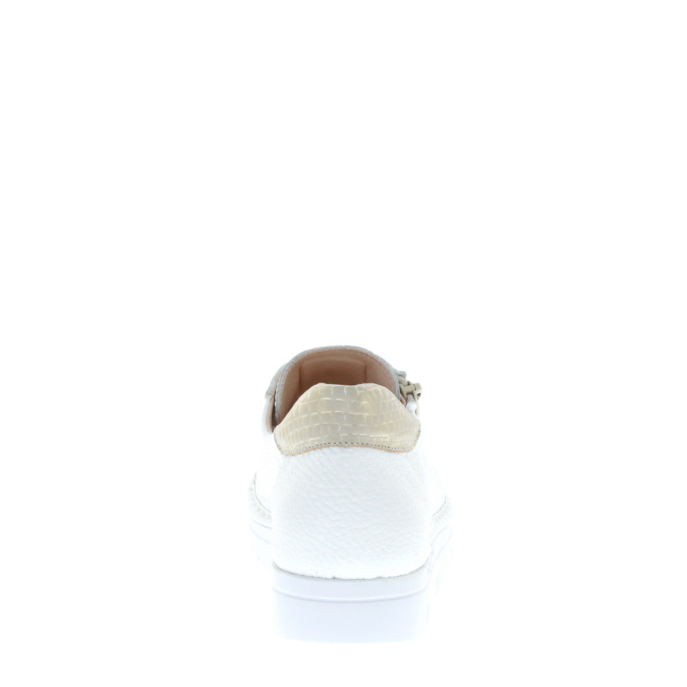 Jose Saenz '2001' / Blanco/Champan/Blanco