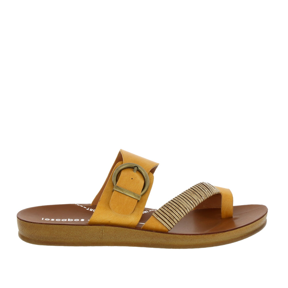 Los Cabos 'Bria' / Mustard