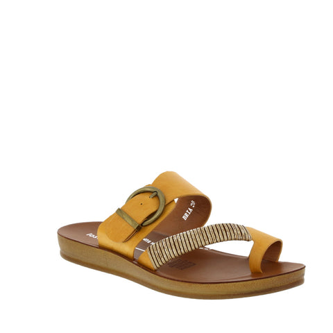 Los Cabos 'Bria' / Mustard