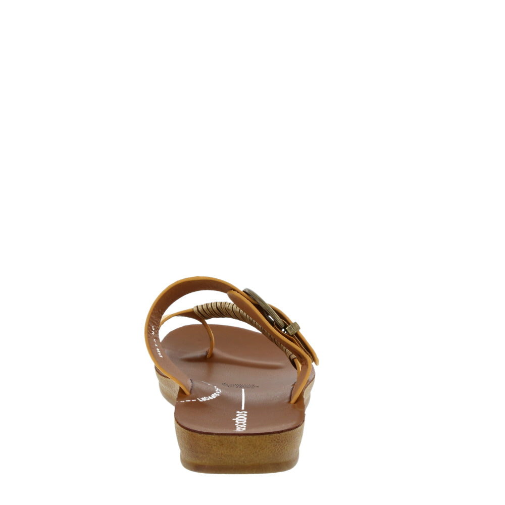 Los Cabos 'Bria' / Mustard