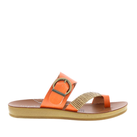 Los Cabos 'Bria' / Tangerine