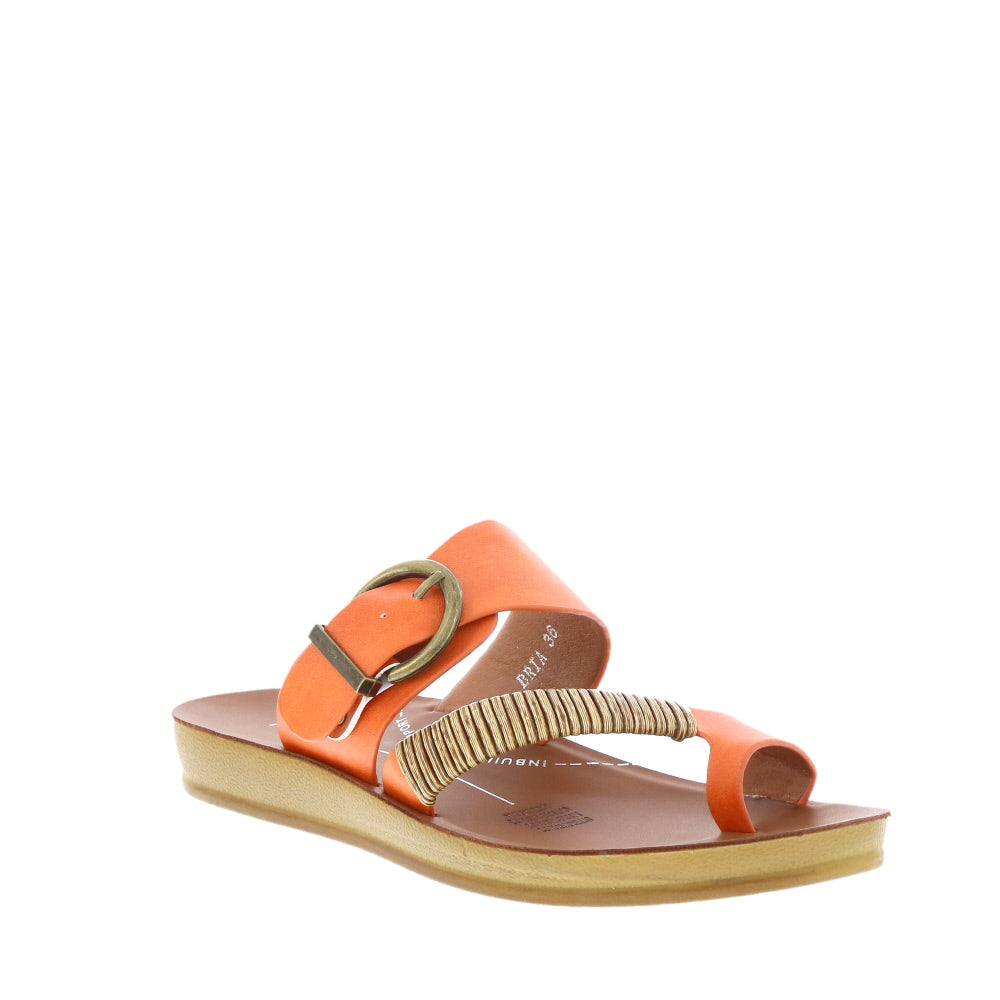 Los Cabos 'Bria' / Tangerine