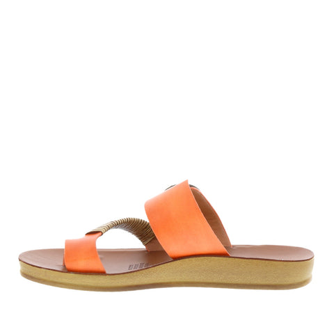 Los Cabos 'Bria' / Tangerine