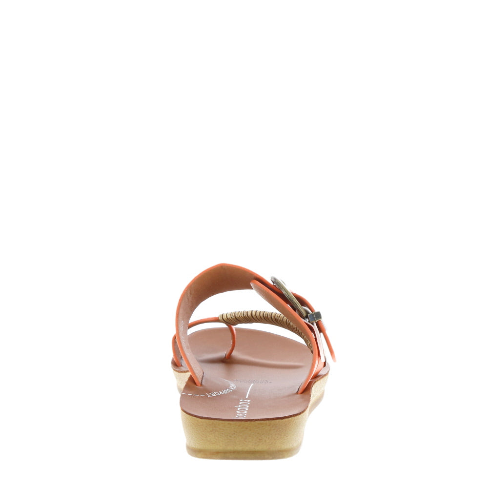 Los Cabos 'Bria' / Tangerine