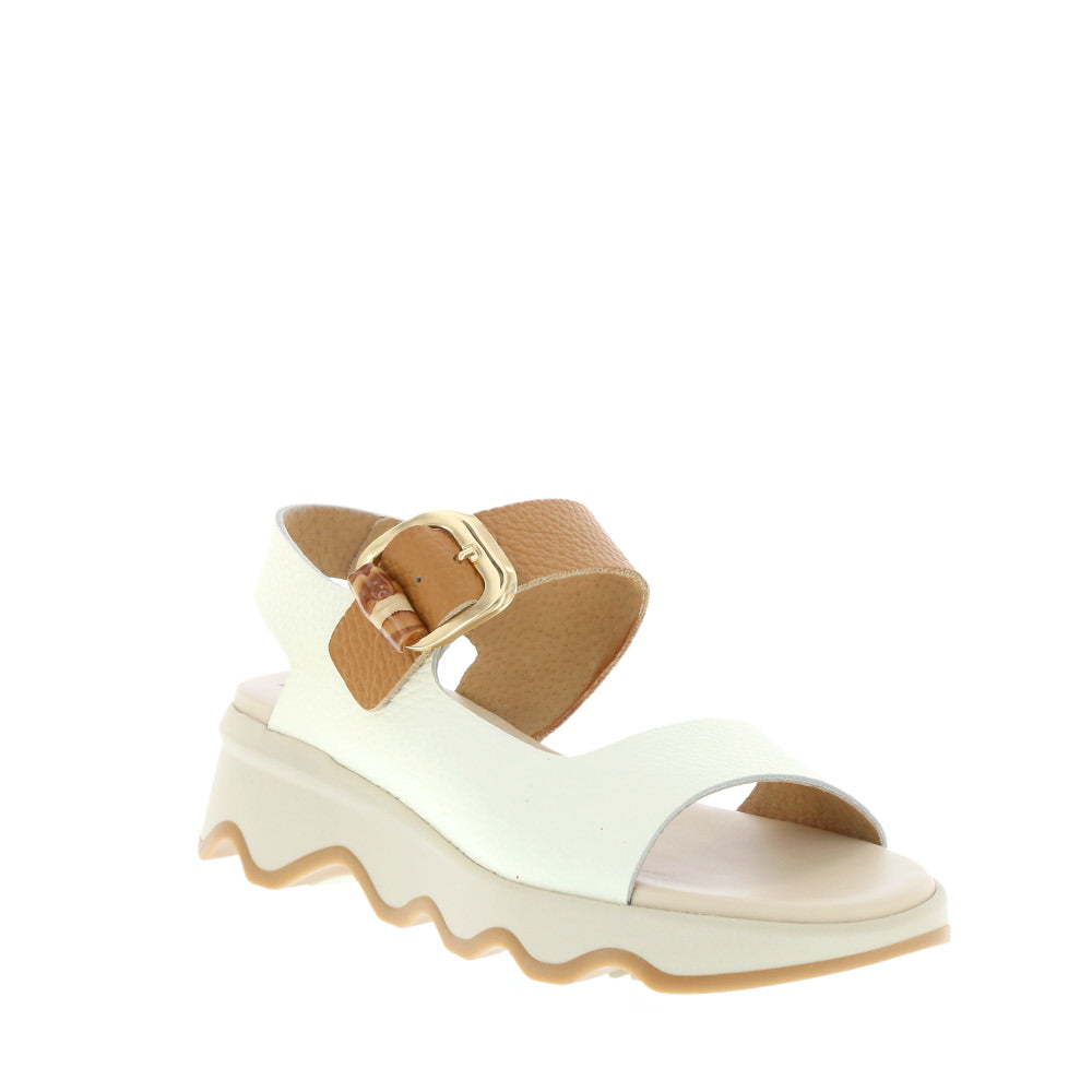 Neo '50261' / Nuclear/Camel