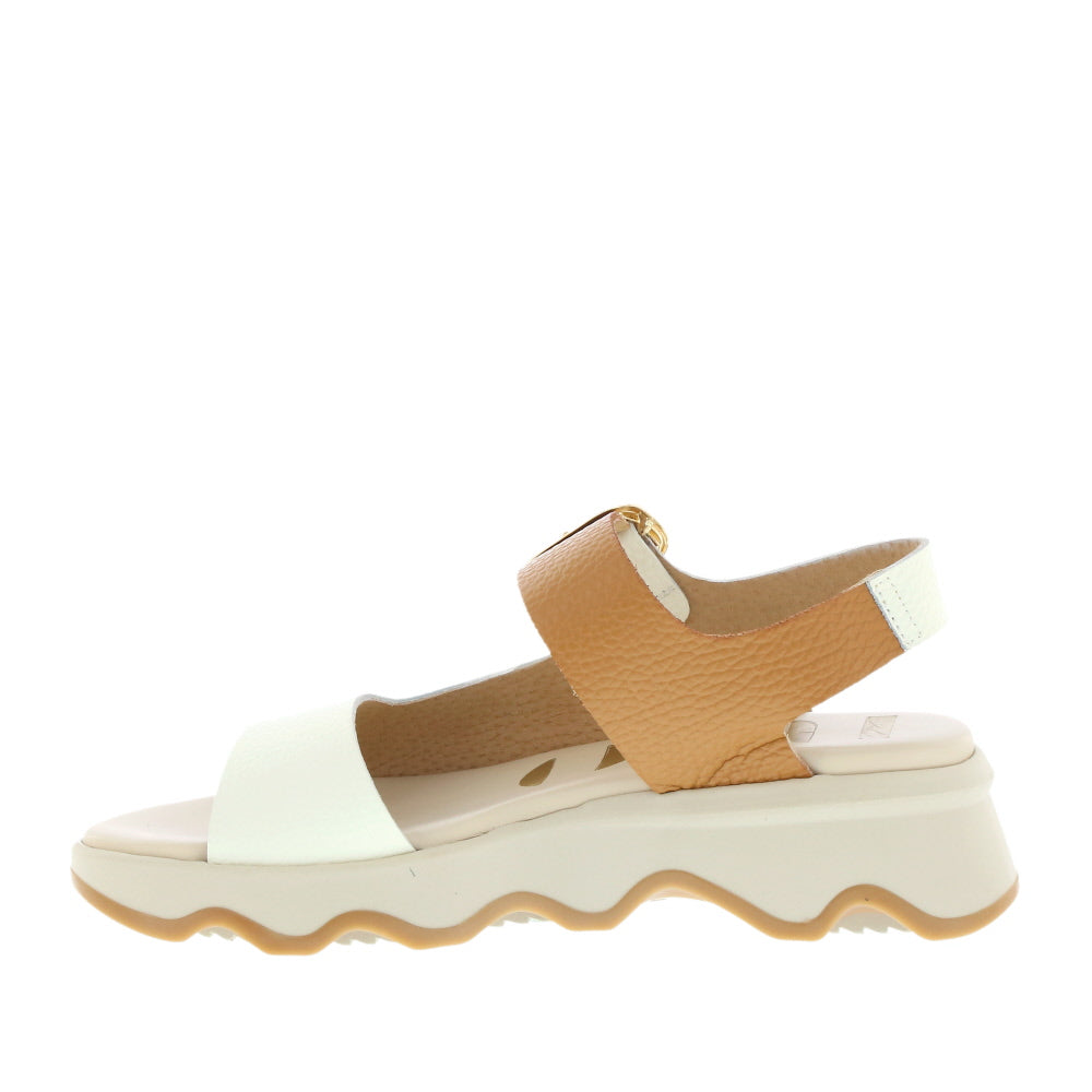 Neo '50261' / Nuclear/Camel