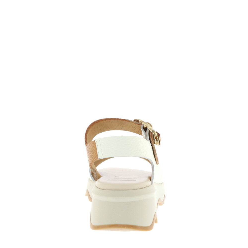 Neo '50261' / Nuclear/Camel