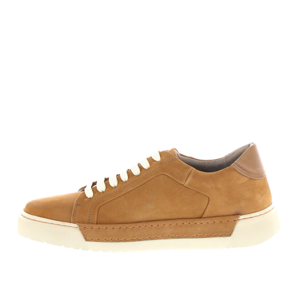 Neo 'Quintus' / Tan