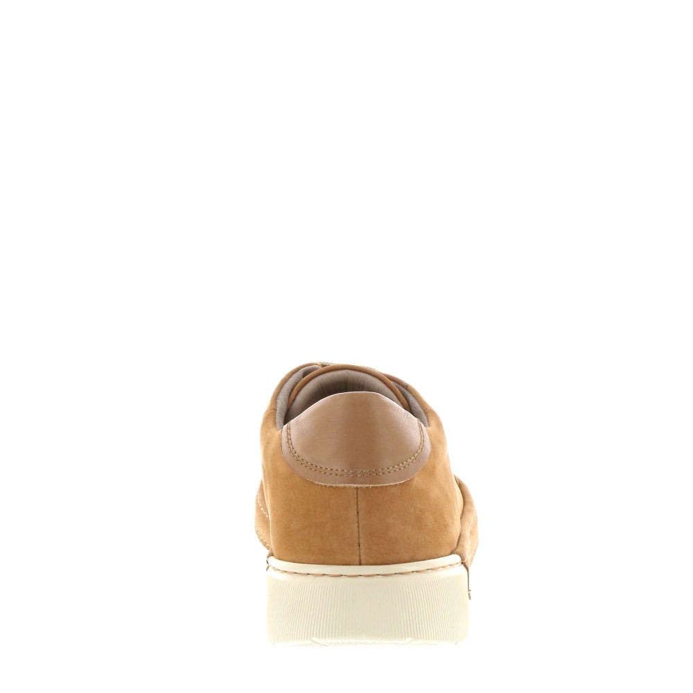 Neo 'Quintus' / Tan