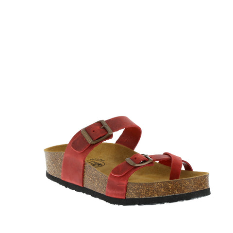 Plakton '341032' / Rojo
