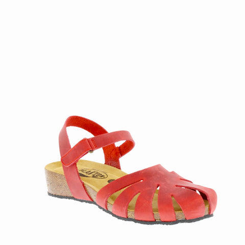 Plakton '775929' / Rojo 556 X