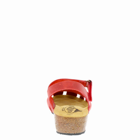 Plakton '775929' / Rojo 556 X