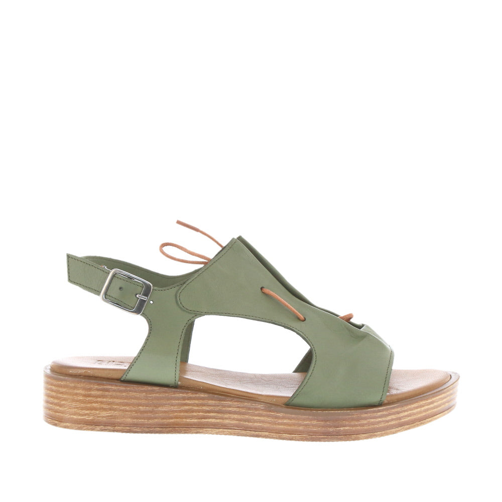 Rilassare 'Dior' / Olive