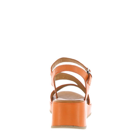 Rilassare 'Pembroke' / Rust