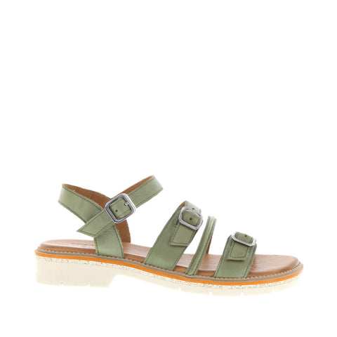 Rilassare 'Petra' / Olive