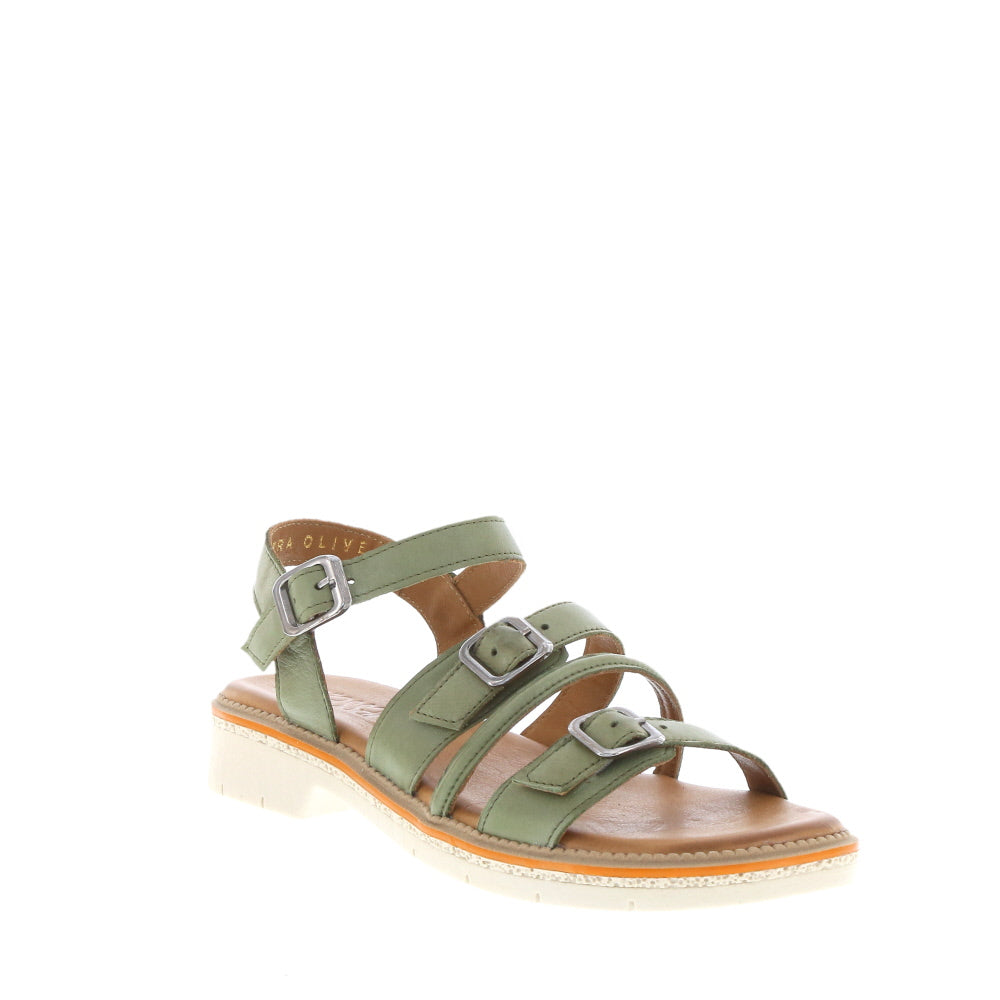 Rilassare 'Petra' / Olive