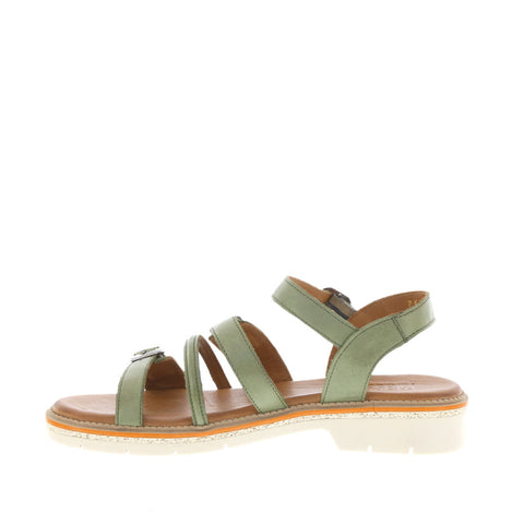 Rilassare 'Petra' / Olive