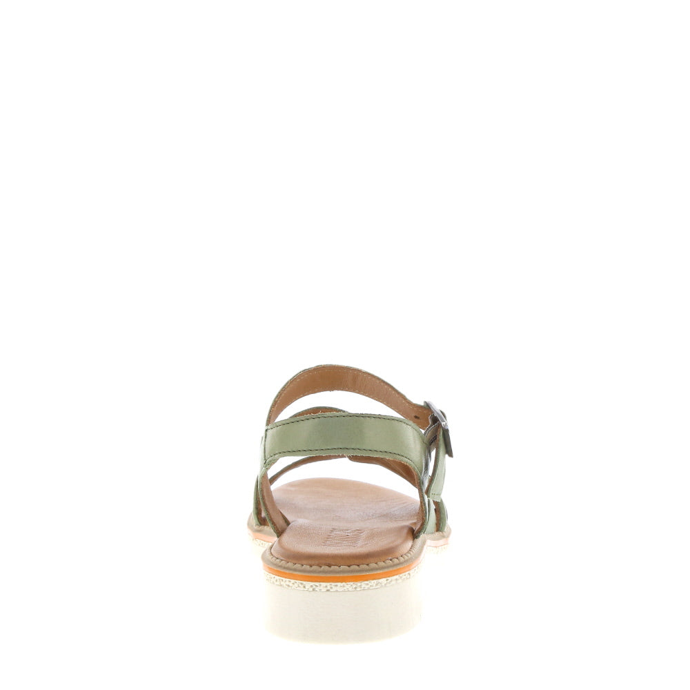 Rilassare 'Petra' / Olive