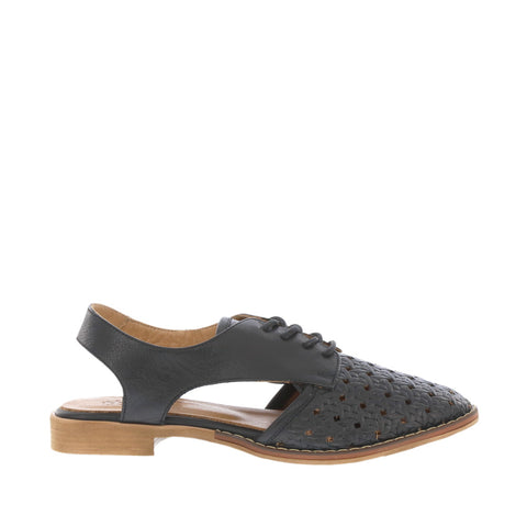 Thyme 'Belize' / Black