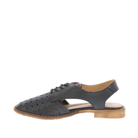 Thyme 'Belize' / Black