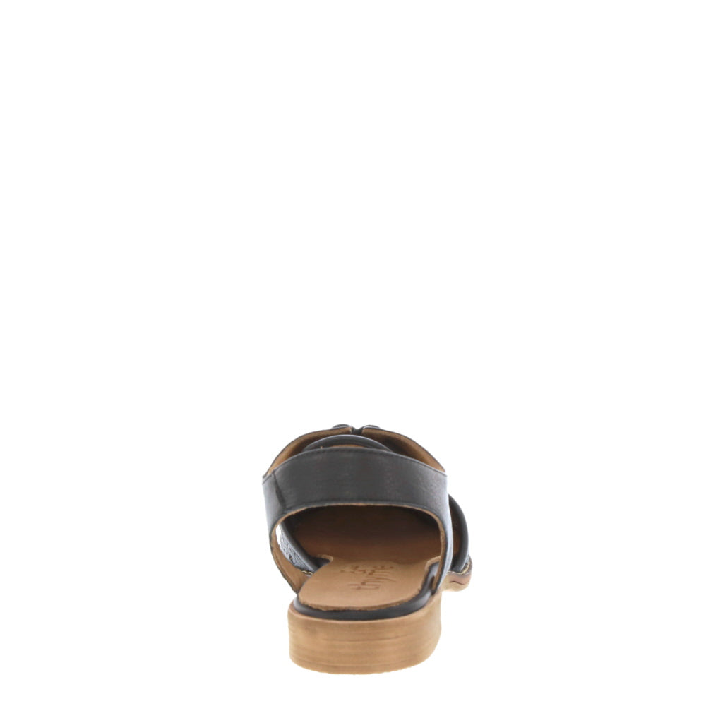 Thyme 'Belize' / Black