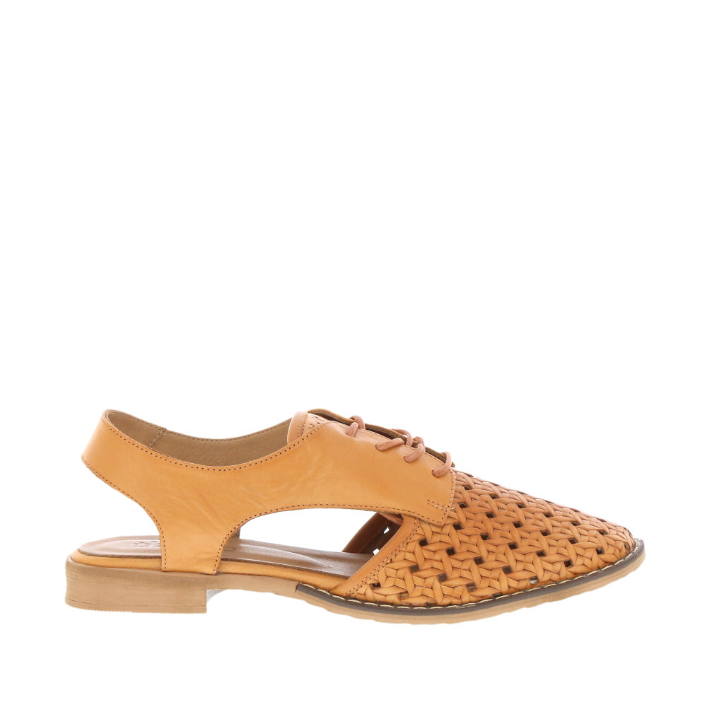 Thyme 'Belize' / Tan