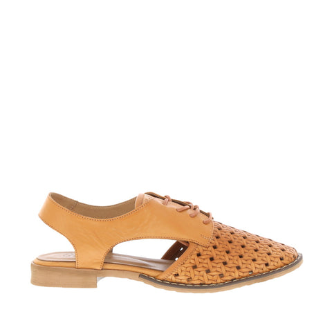 Thyme 'Belize' / Tan