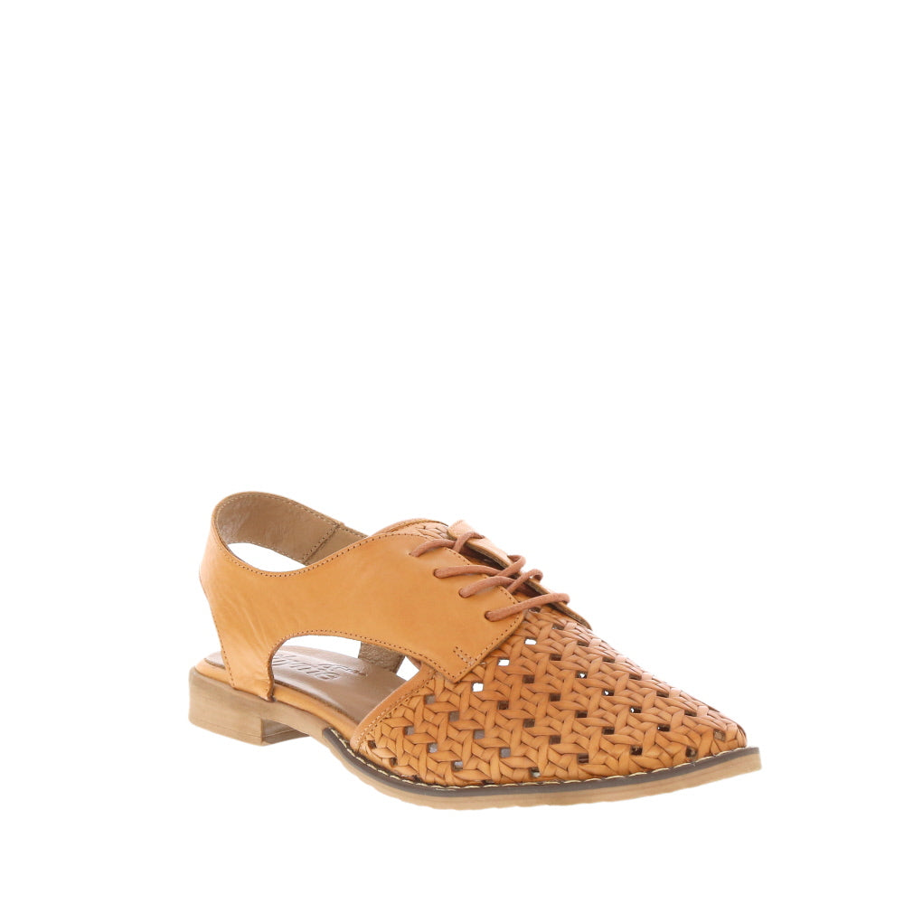Thyme 'Belize' / Tan