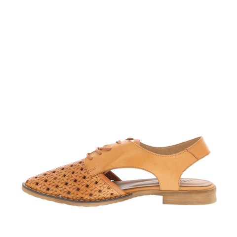 Thyme 'Belize' / Tan