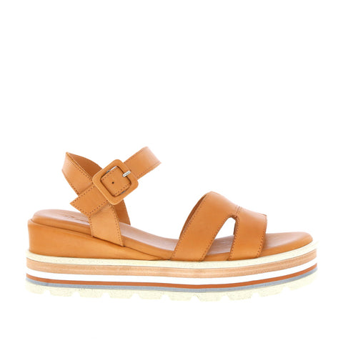 Thyme 'Natty' / Tan