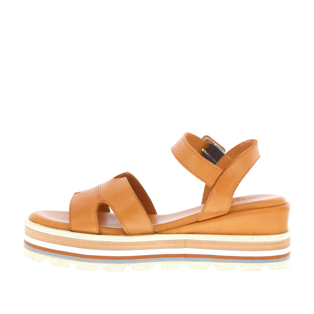 Thyme 'Natty' / Tan