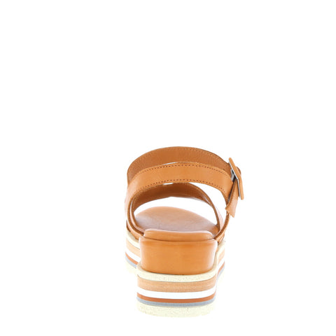 Thyme 'Natty' / Tan