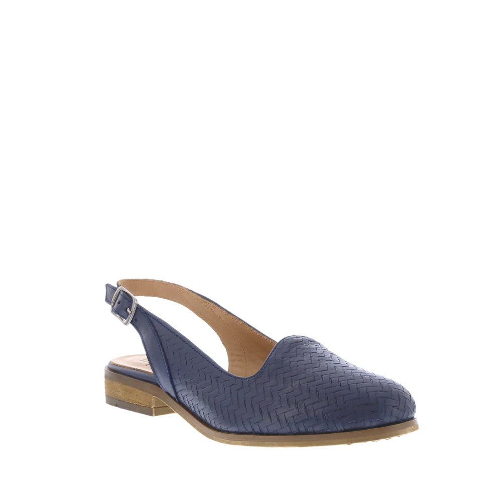Thyme 'Posit' / Navy