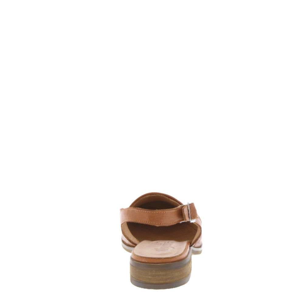 Thyme 'Posit' / Whiskey