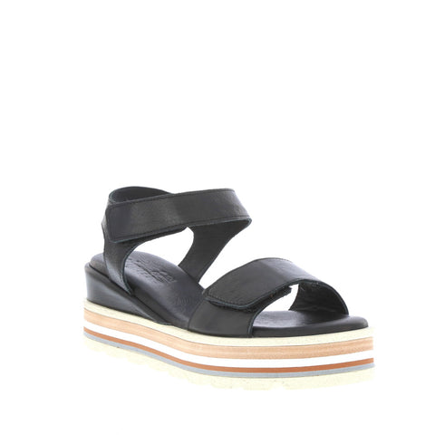 Thyme 'Tidal' / Black