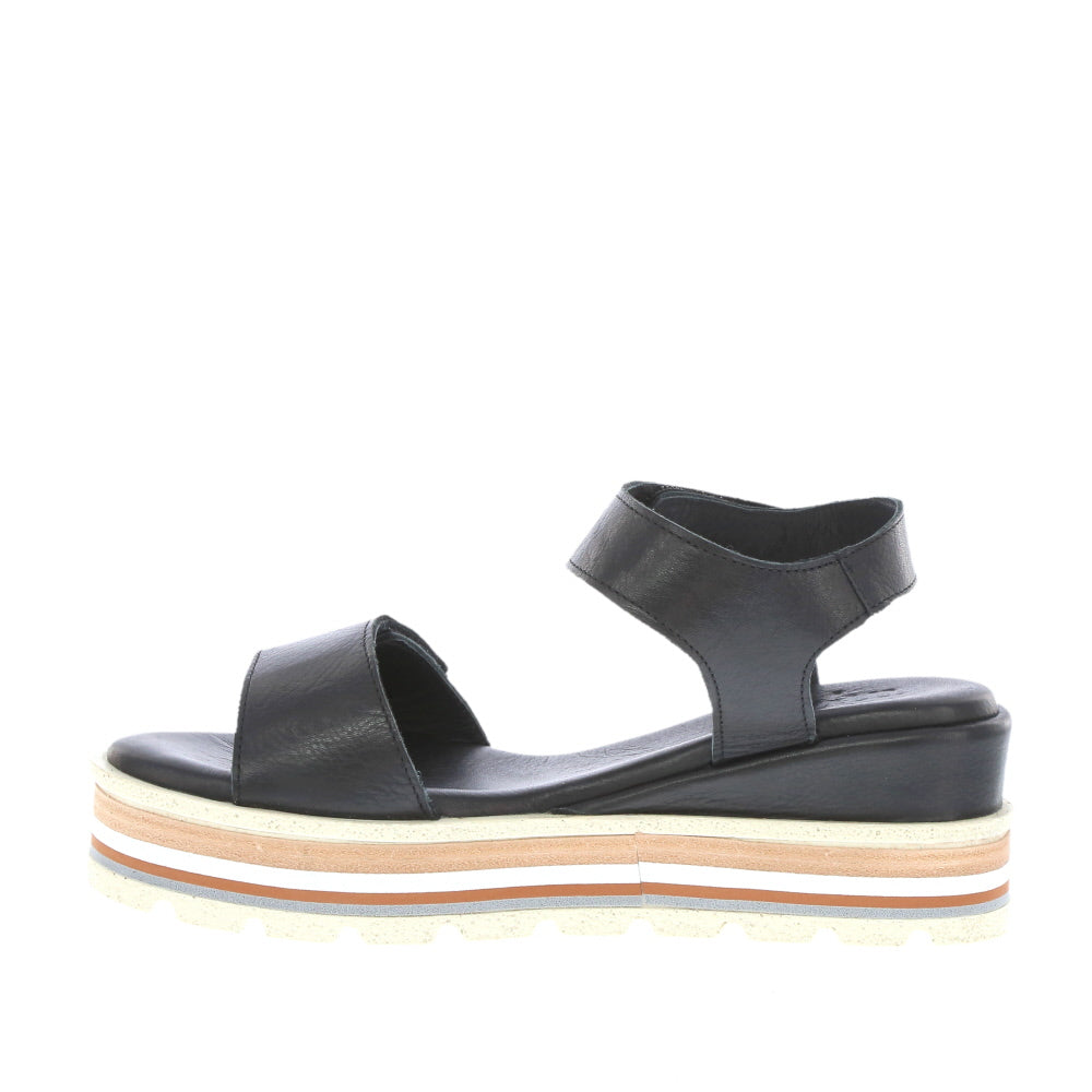Thyme 'Tidal' / Black