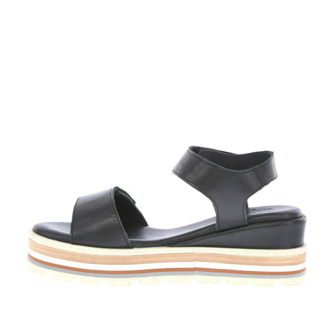Thyme 'Tidal' / Black