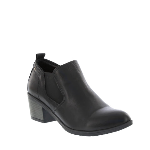 Thyme 'Tone' / Black