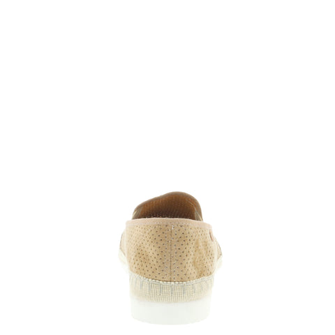 Verbenas 'Boris' / Hole Roble