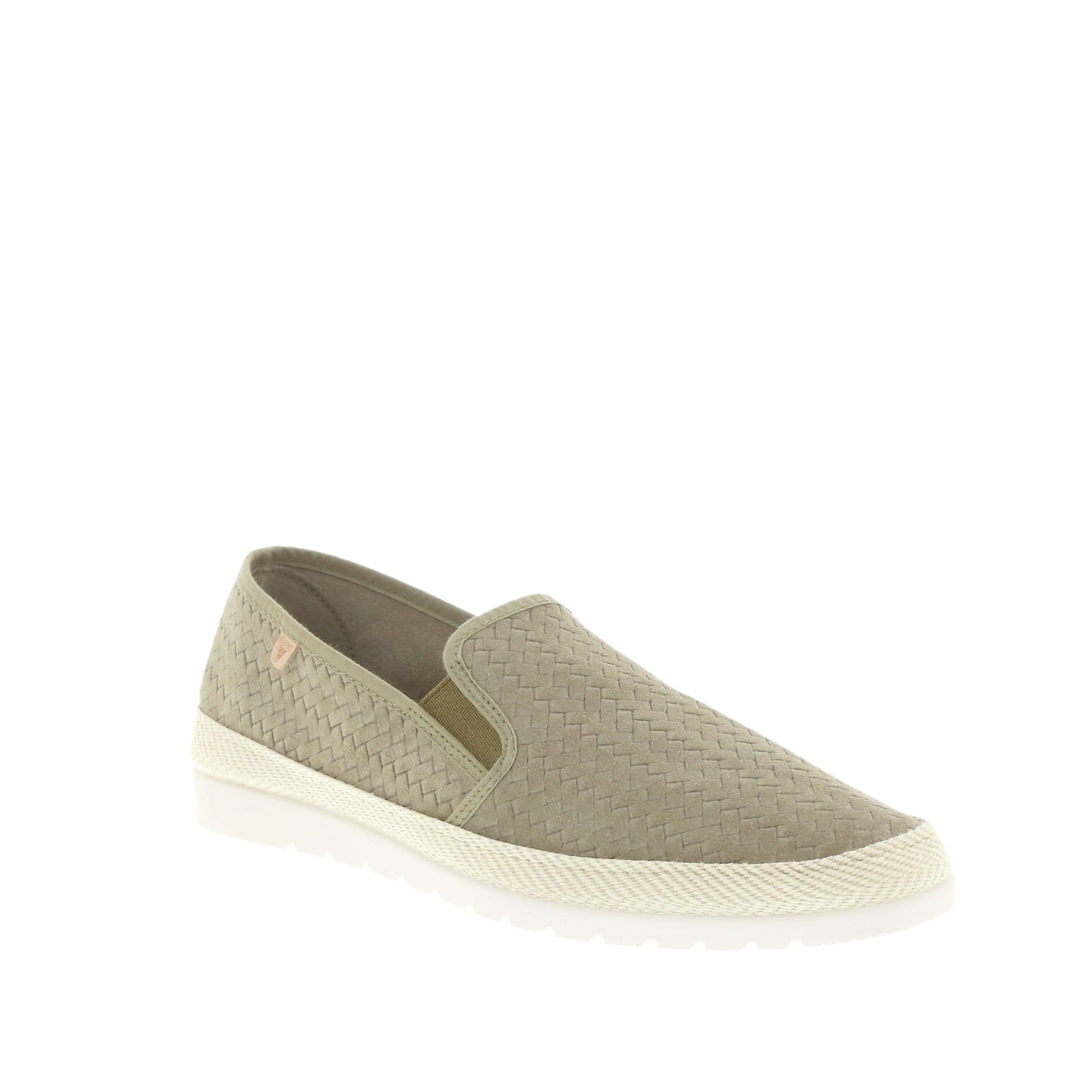 Verbenas 'Boris' / Trenza Kaki